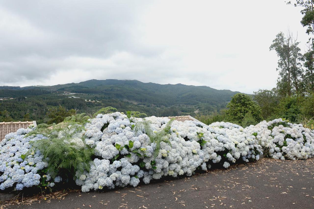 ホテル Quinta Da Cova Do Milho Santo Antonio da Serra エクステリア 写真